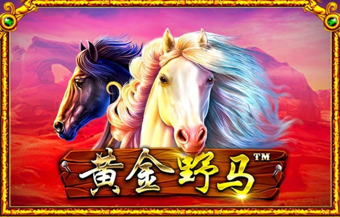 pg模拟器入口